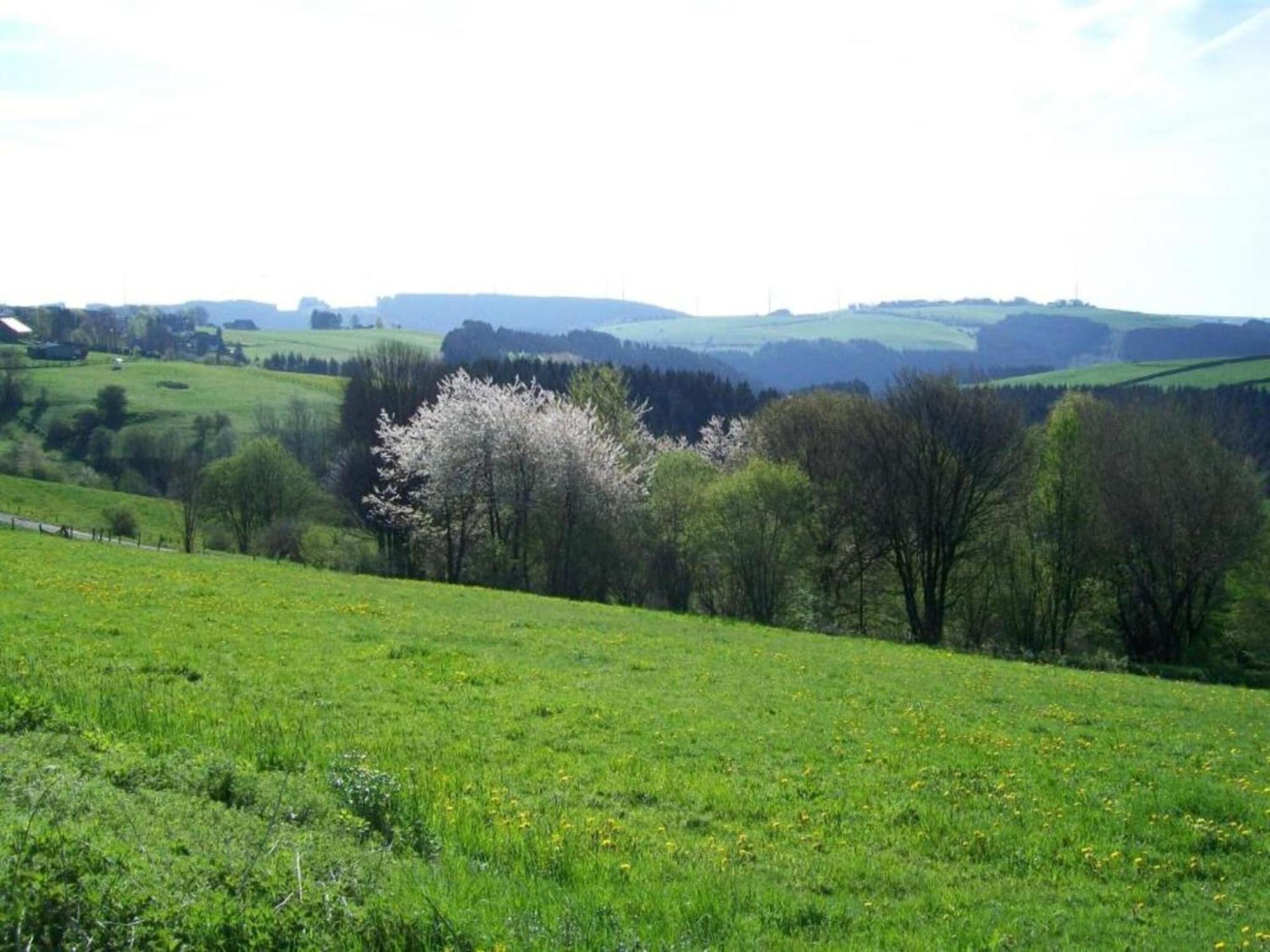 Holiday Home With Garden In Hellenthal Eifel Dış mekan fotoğraf